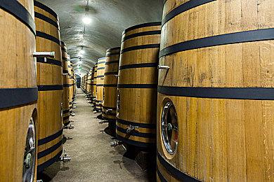 小岛秀夫Xbox新作《OD》细节内容泄露：有两种游戏玩法